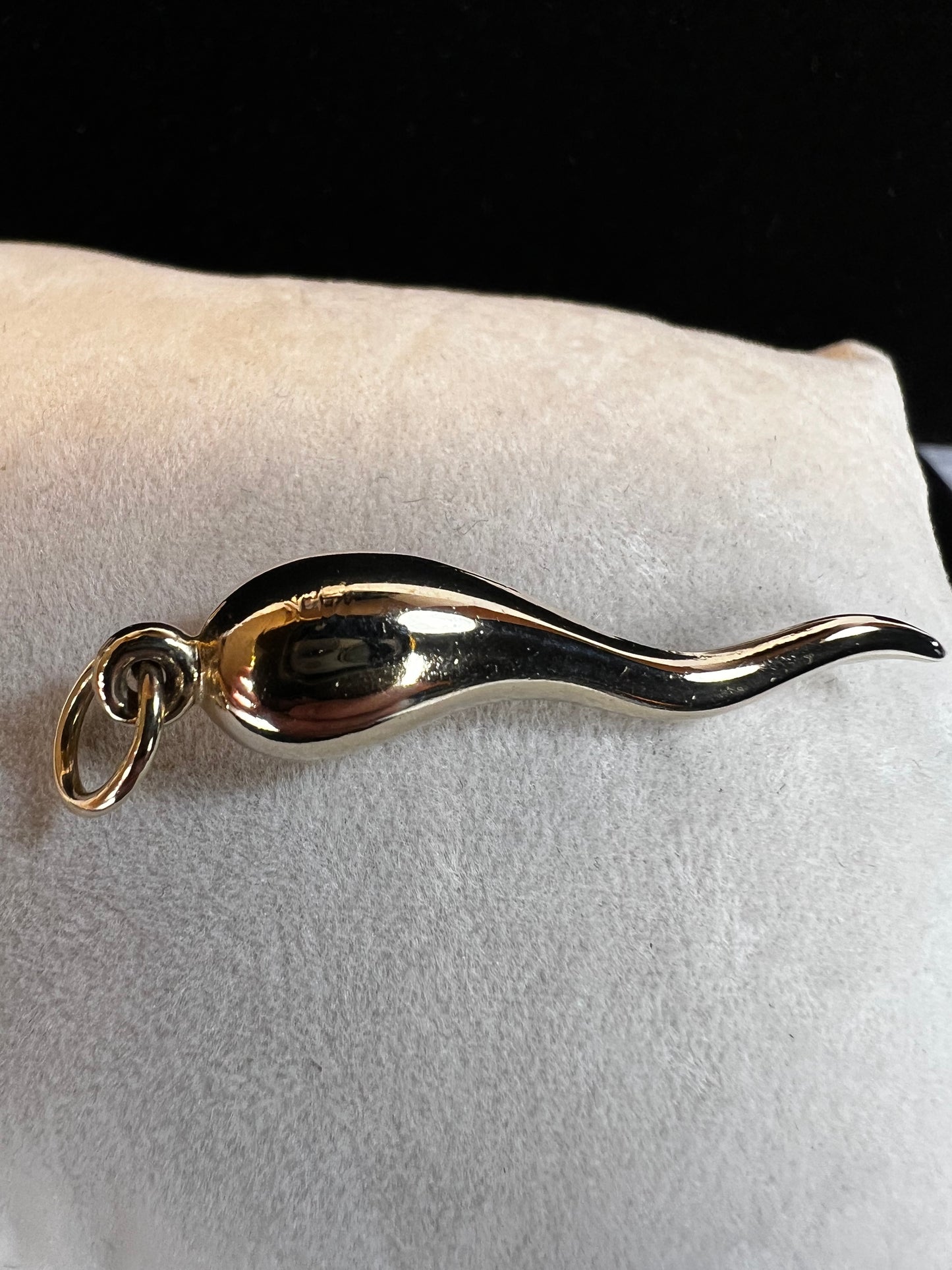 This pendant features "The Italian "Horn", which is intended to protect against evil and bad luck. Crafted from 14 karat gold, this piece is a perfect addition to your jewelry collection.